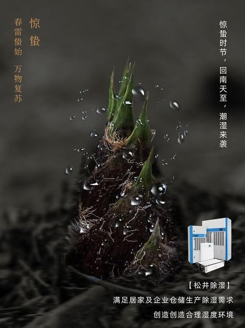 广西回南天应对策略,难题与方法